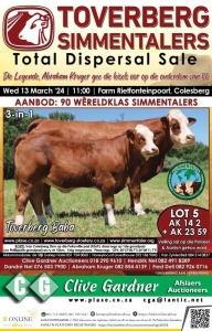 TOVERBERG SIMMENTALERS TOTAL DISPERSAL SALE