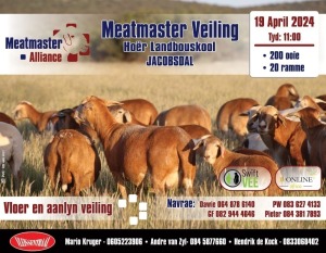 MEATMASTER ALLIANCE AUCTION 