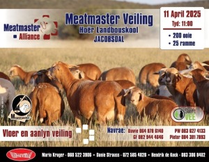 MEATMASTER ALLIANCE VEILING