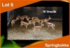 10 X SPRINGBOK M: V/F:10 (PER STUK OM LOT TE NEEM)