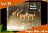 4 X KOPER BLESBOK M:1 V/F:3 (PER STUK OM LOT TE NEEM)