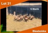 12 X BLESBOK M:12 (PER STUK OM LOT TE NEEM)