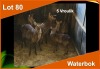 5 X WATERBOK V/F:5 (PER STUK OM LOT TE NEEM)