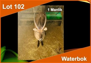 1 X WATERBOK M:1