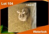 1 X WATERBOK M:1