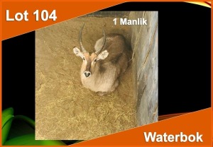 1 X WATERBOK M:1