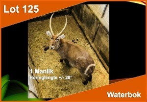 1 X WATERBOK +/-28" M:1