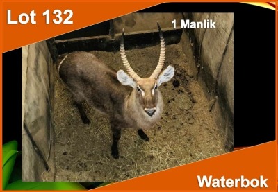 1 X WATERBOK M:1