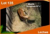 1 X LECHWE 28 3/4" M:1