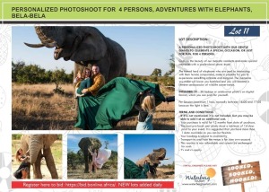 PERSONALIZED PHOTOSHOOT FOR 4 PERSONS, ADVENTURES WITH ELEPHANTS, BELA-BELA