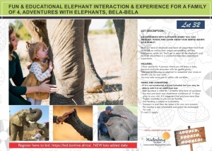 FUN & EDUCATIONAL ELEPHANT INTERACTION & EXPERIENCE FOR A FAMILY OF 4, ADVENTURES WITH ELEPHANTS, BELA-BELA