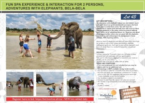 FUN SPA EXPERIENCE & INTERACTION FOR 2 PERSONS, ADVENTURES WITH ELEPHANTS, BELA-BELA