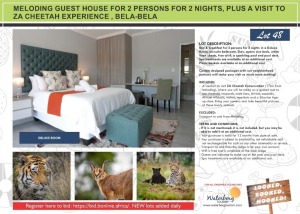 MELODING GUEST HOUSE FOR 2 PERSONS FOR 2 NIGHTS, PLUS A VISIT TO ZA CHEETAH EXPERIENCE , BELA-BELA