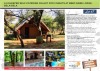 A 2-SLEEPER SELF-CATERING CHALET FOR 5 NIGHTS AT MBIZI GAME LODGE, BELA-BELA