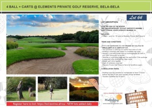 4 BALL + CARTS @ ELEMENTS PRIVATE GOLF RESERVE, BELA-BELA