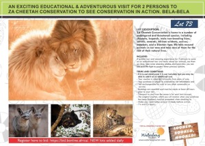 AN EXCITING EDUCATIONAL & ADVENTUROUS VISIT FOR 2 PERSONS TO ZA CHEETAH CONSERVATION TO SEE CONSERVATION IN ACTION. BELA-BELA