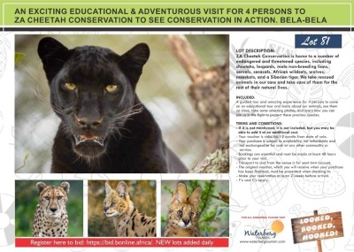 AN EXCITING EDUCATIONAL & ADVENTUROUS VISIT FOR 4 PERSONS TO ZA CHEETAH CONSERVATION TO SEE CONSERVATION IN ACTION. BELA-BELA