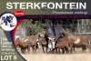 3+6X MEATMASTER EWE STERKFONTEIN MEATMASTERS