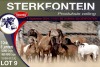 3+6X MEATMASTER EWE STERKFONTEIN MEATMASTERS - 4