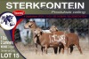 1+2X MEATMASTER EWE STERKFONTEIN MEATMASTERS - 2