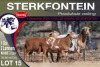 1+2X MEATMASTER EWE STERKFONTEIN MEATMASTERS - 4