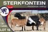 1+2X MEATMASTER EWE STERKFONTEIN MEATMASTERS - 4