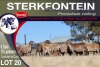 6+10X MEATMASTER EWE STERKFONTEIN MEATMASTERS