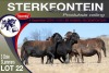 3+3X MEATMASTER EWE STERKFONTEIN MEATMASTERS - 4