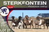 4+4X MEATMASTER EWE STERKFONTEIN MEATMASTERS - 2