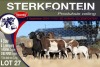 4+4X MEATMASTER EWE STERKFONTEIN MEATMASTERS - 3