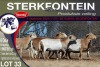 6X MEATMASTER PREGNANT EWE STERKFONTEIN MEATMASTERS