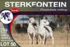 2X MEATMASTER PREGNANT EWE STERKFONTEIN MEATMASTERS - 2