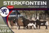 8X MEATMASTER EWE STERKFONTEIN MEATMASTERS