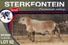 1X MEATMASTER RAM STERKFONTEIN MEATMASTERS