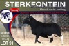 1X MEATMASTER RAM STERKFONTEIN MEATMASTERS - 2