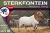 1X MEATMASTER RAM STERKFONTEIN MEATMASTERS - 2