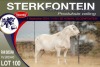 1X MEATMASTER RAM STERKFONTEIN MEATMASTERS - 4