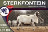 1X MEATMASTER RAM STERKFONTEIN MEATMASTERS - 2