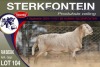 1X MEATMASTER RAM STERKFONTEIN MEATMASTERS